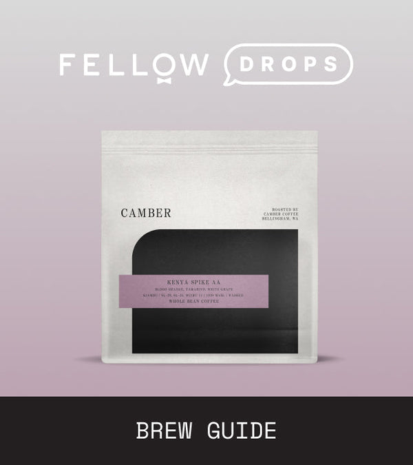 Fellow's Take on Kenya Spike AA by Camber Coffee | Brew Recipe