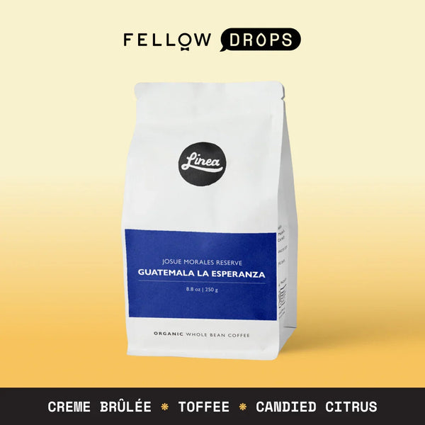 Fellow's Take on Guatemala La Esperanza by Linea | Brew Guide | Fellow