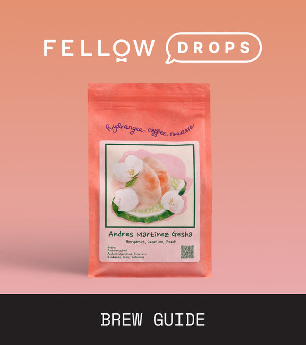 Fellow's Take on Andres Martinez Gesha from Hydrangea | Brew Recipe