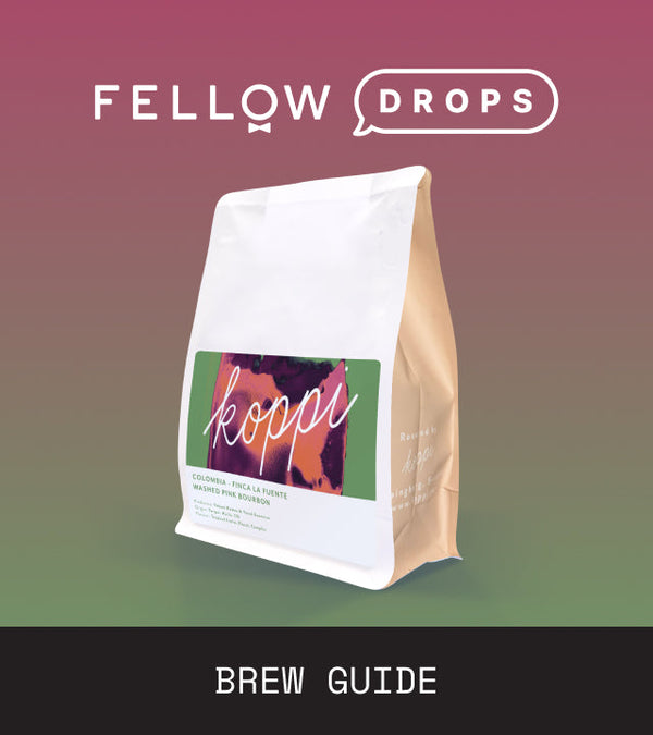 Fellow's Take on Colombia La Fuente by Koppi | Brew Recipe