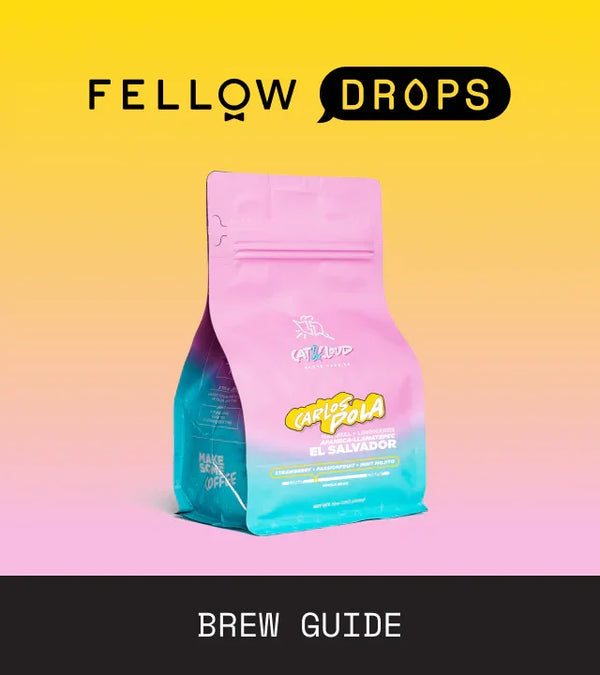Fellow's Take on Cat & Cloud Carlos Pola | Brew Recipe | Fellow