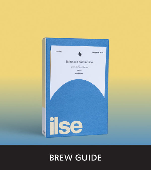 Fellow's Take on Robinson Salamanca by ilse coffee | Brew Recipe