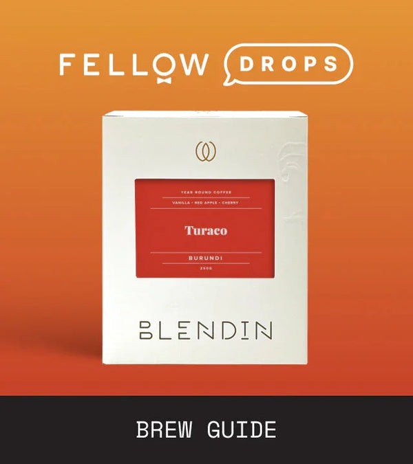 Fellow's Take on BlendIn Coffee Club Burundi Turaco Light | Brew Recipe | Fellow