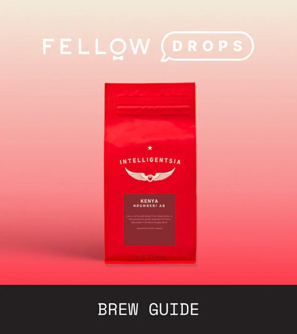 Fellow's Take on Intelligentsia Kenya Ndumberi | Brew Recipe | Fellow