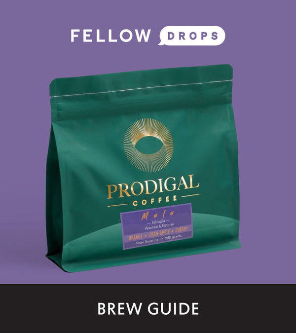 Fellow's Take on Mulu by Prodigal | Brew Guide