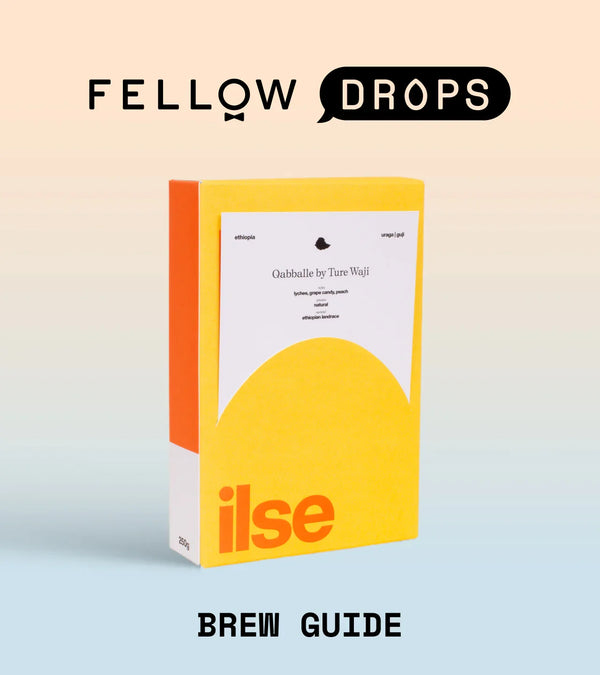 Fellow's Take on ILSE Qabballe | Brew Recipe | Fellow