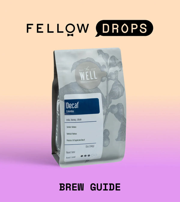 Fellow's Take on The Well EA Sugarcane Decaf Colombia | Brew Recipe | Fellow