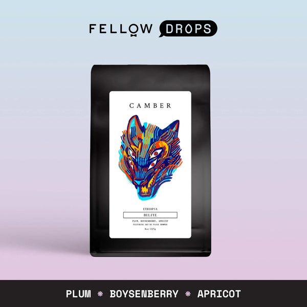 Fellow's Take on Camber Ethiopia Buliye | Brew Recipe | Fellow