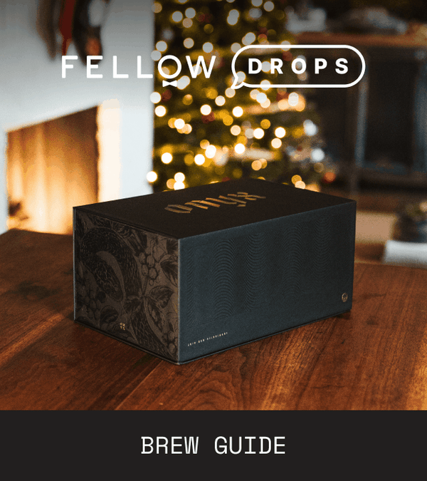 Fellow's Take on 2025 Onyx Coffee Advent Calendar | Brew Recipe