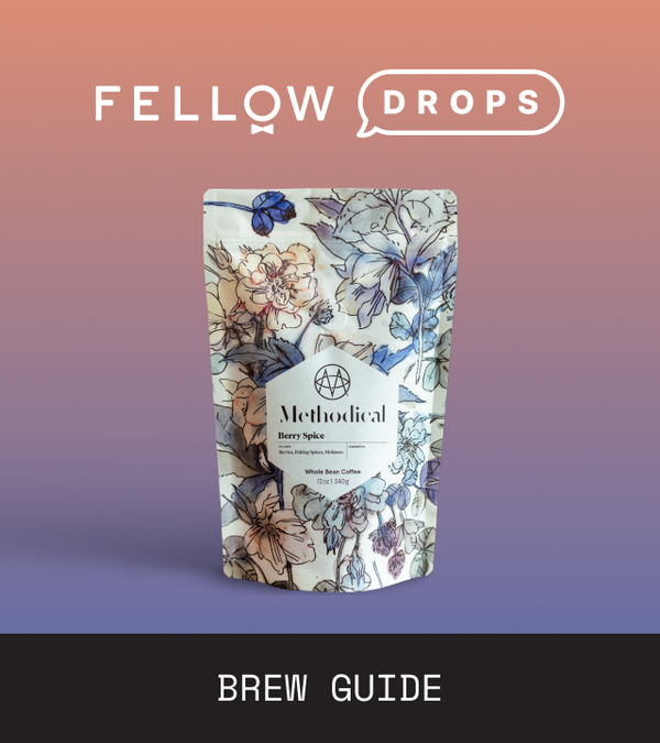 Fellow's Take on Methodical Coffee Berry Spice | Brew Recipe