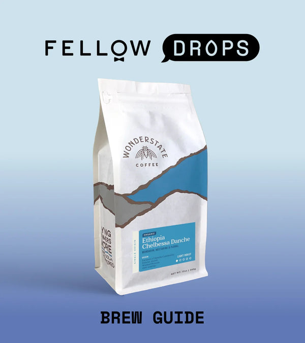 Fellow's Take on Organic Ethiopia Danche by Wonderstate | Brew Recipe | Fellow