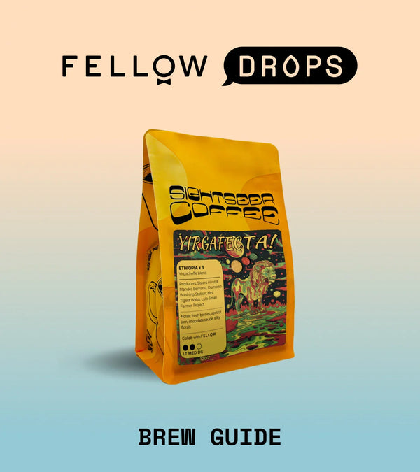 Fellow's Take on Yirgafecta by Sightseer | Brew Recipe | Fellow