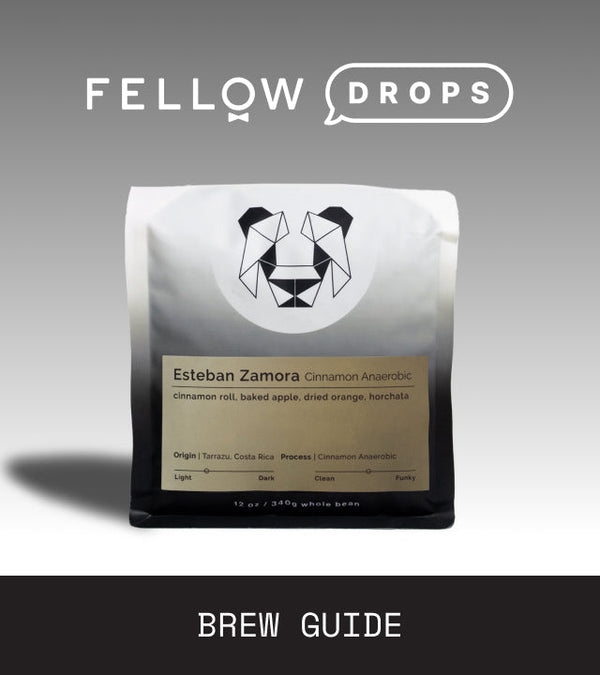 Fellow's Take on Black & White Coffee Roasters Esteban Zamora Cinnamon Anaerobic | Brew Recipe