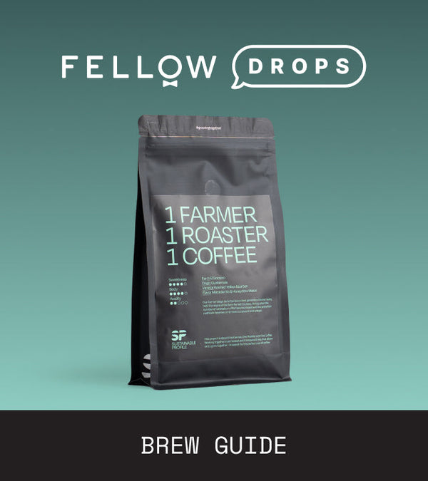 Fellow's Take on April Coffee Roasters Guatemala SP | Brew Recipe