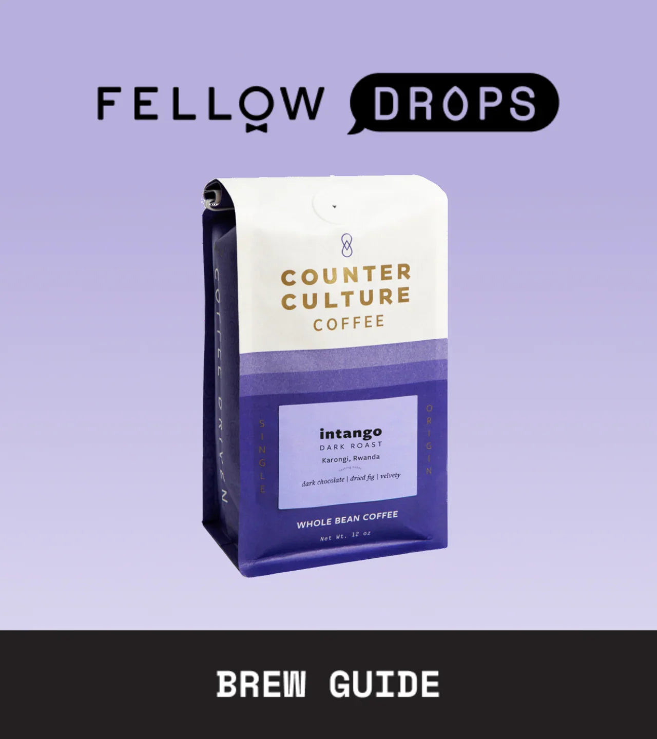 Intango Dark Roast
