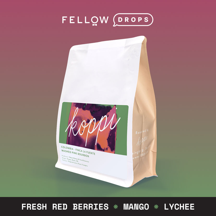 A bag of Fellow Colombia La Fuente coffee on a colorful gradient, with flavor notes below. - media