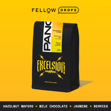 Panoramic - Panoramic - 10oz (284g) / Light-Medium Roast | Fellow