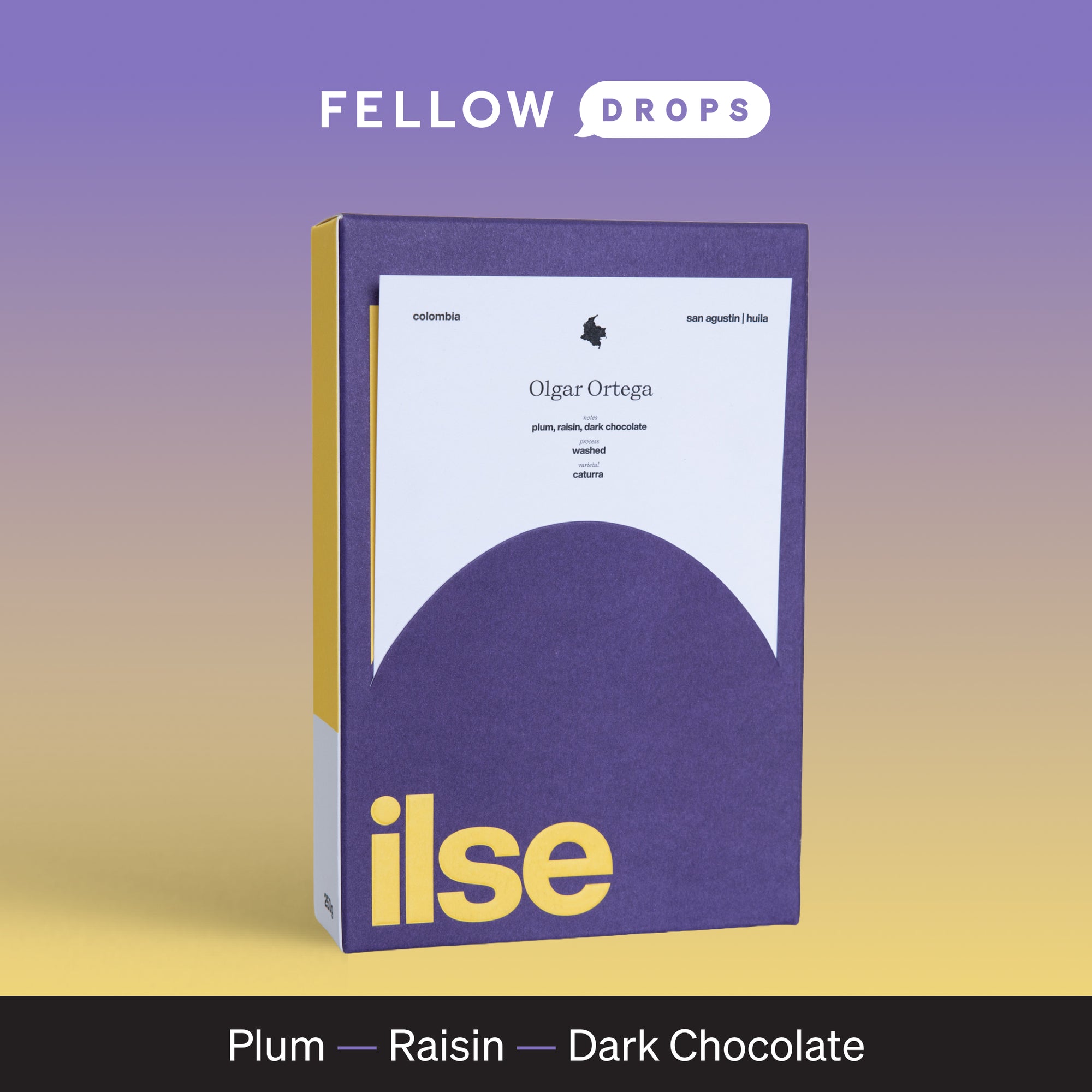Purple Olgar Ortega coffee bag by ILSE Coffee with notes of plum, raisin, and dark chocolate.