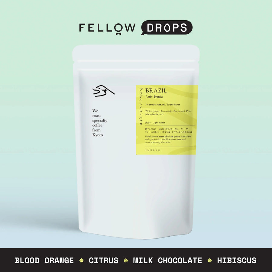 Brazil Luis Paolo-Fellow - media