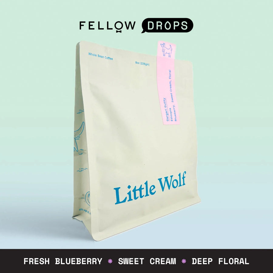 Gargari Gutity - Gargari Gutity - 8 oz | Fellow - media