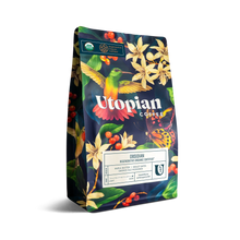 Obsidian - Obsidian - Whole Bean / 10.9oz | Fellow