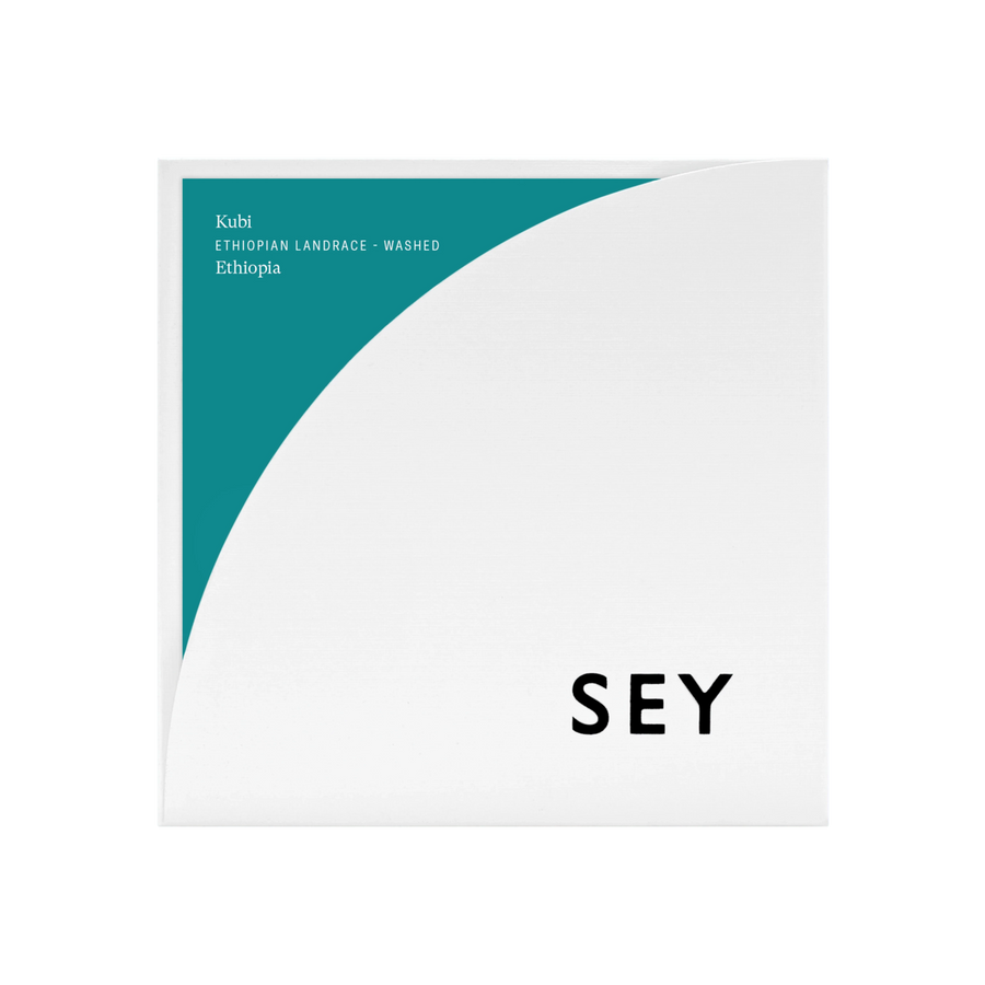 Ethiopia Kubi-8.8 oz (250 g) / Light Roast-Fellow - media