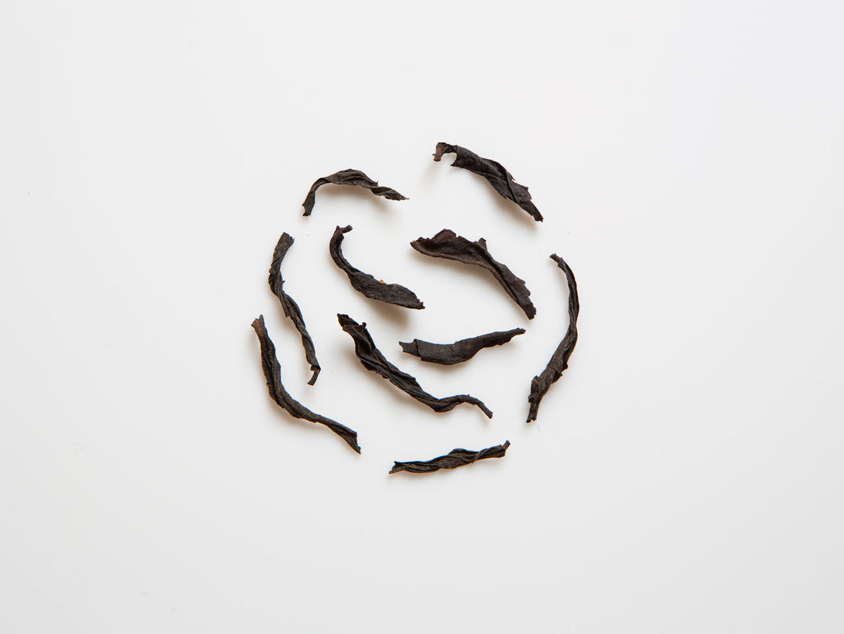 The Roaster's Red by Song Tea & Ceramics arranged in a circle on a white background.