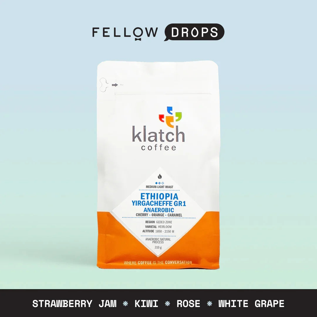 Ethiopia Yirgacheffe - Ethiopia Yirgacheffe - 310 g | Fellow