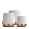 Joey Double Wall Ceramic Mugs - Joey Double Wall Ceramic Mugs - Matte White / Joey 8 oz | Fellow