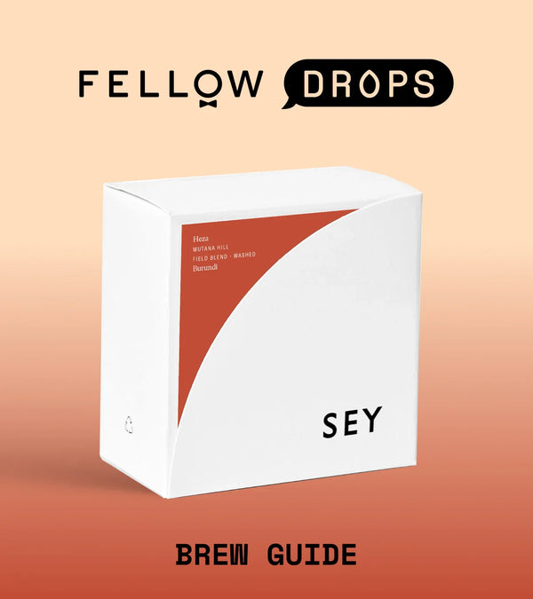 Fellow's Take on Heza by Sey | Brew Recipe | Fellow