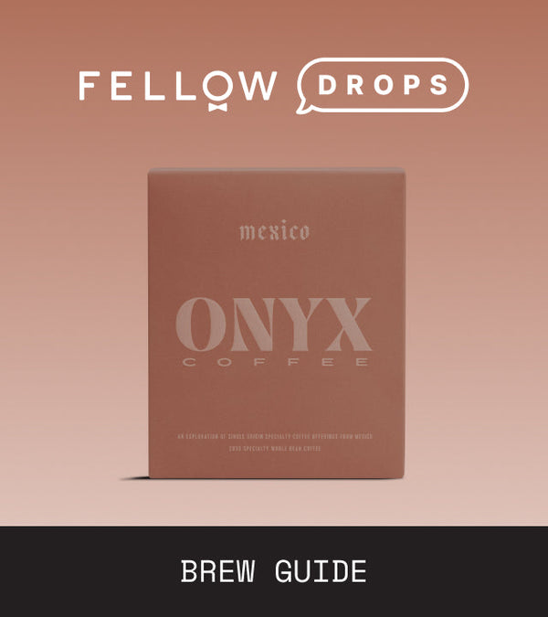 Fellow's Take on Mexico Mazateca Mujeres by Onyx Coffee Lab | Brew Recipe