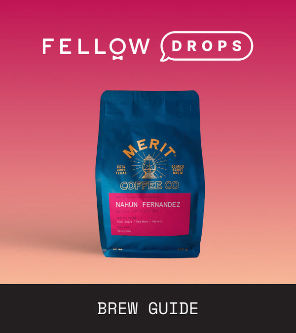 Fellow's Take on Honduras Nahun Fernandez Natural by Merit | Brew Recipe