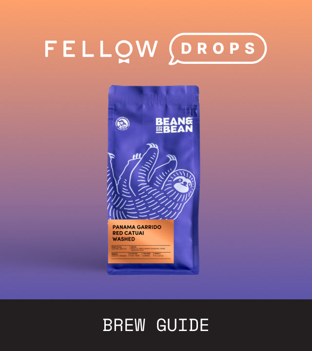 Fellow's Take on Panama Gissell Garrido by Bean & Bean Coffee | Brew Recipe