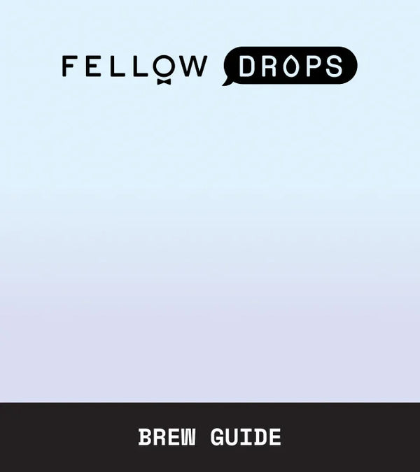 Fellow's Take on Costa Rica Finca Inés Semi-Washed Geisha by Loquat | Brew Guide | Fellow