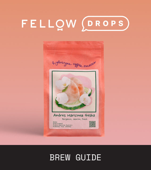 Fellow's Take on Andres Martinez Gesha from Hydrangea | Brew Recipe
