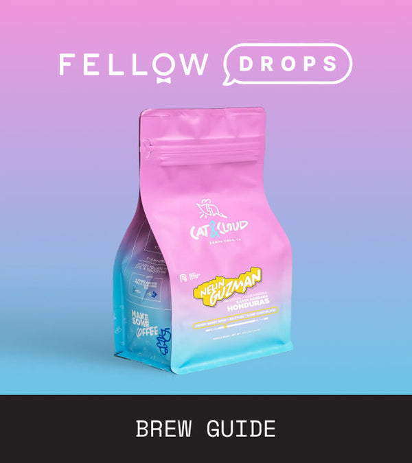 Fellow's Take on Nelin Guzman Anaerobic Natural by Cat & Cloud | Brew Recipe