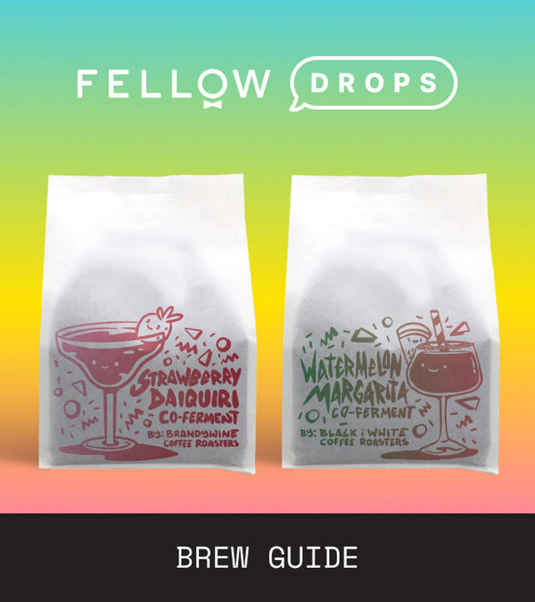 Fellow's Take on Spring Breakers Coffee Box by Brandywine Coffee Roasters | Brew Recipe