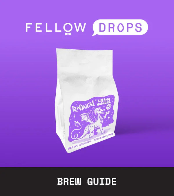 Fellow's Take on Brandywine Rwanda Cyesha Natural | Brew Guide | Fellow