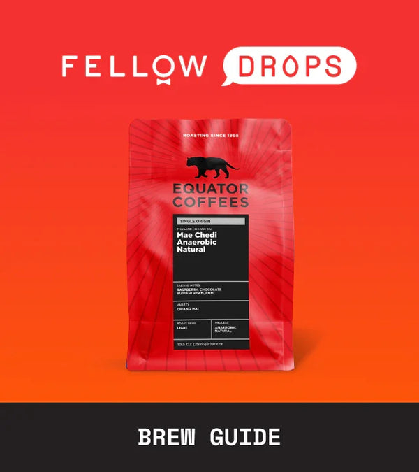 Fellow's Take on Equator Coffees Thailand Mae Chedi Anaerobic Natural | Brew Guide | Fellow