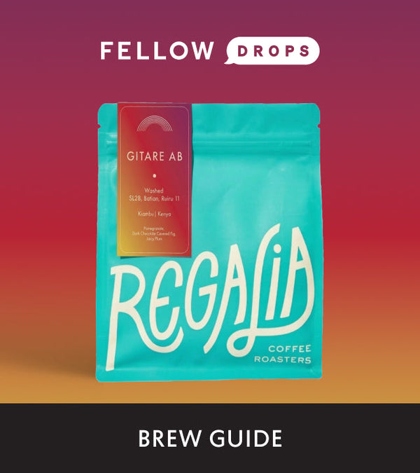 Fellow's Take on Gitare AB by Regalia Coffee Roasters | Brew Recipe