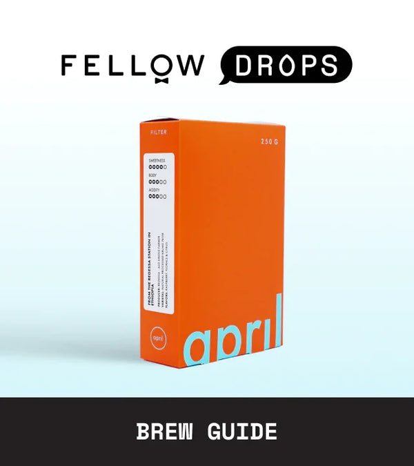 Fellow's Take on Ethiopia Regessa by April | Brew Guide | Fellow