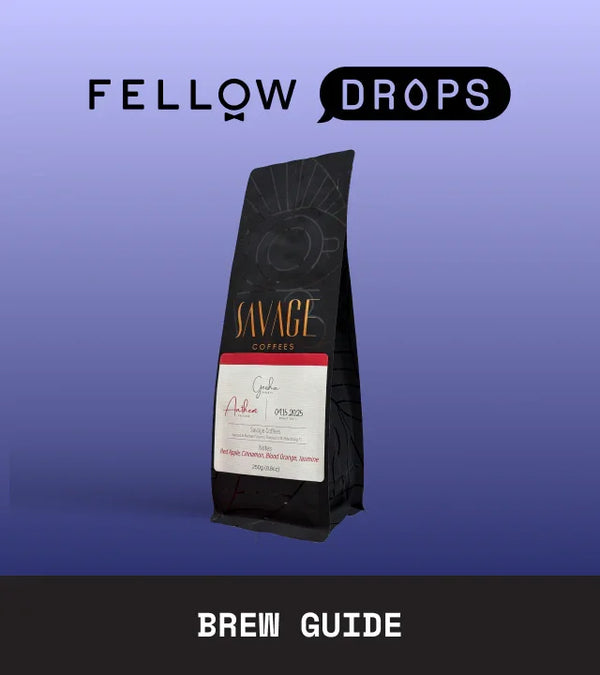 Fellow's Take on Anthem Natural Geisha | Brew Recipe | Fellow