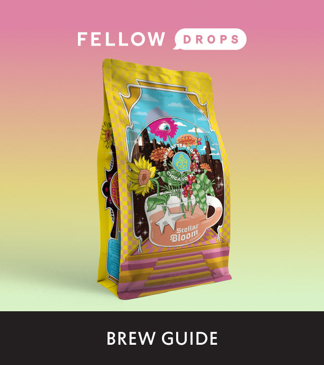 Fellow's Take on Stellar Bloom from Dark Matter | Brew Recipe
