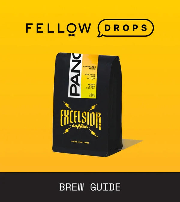 Fellow's Take on Excelsior Panoramic | Brew Recipe | Fellow