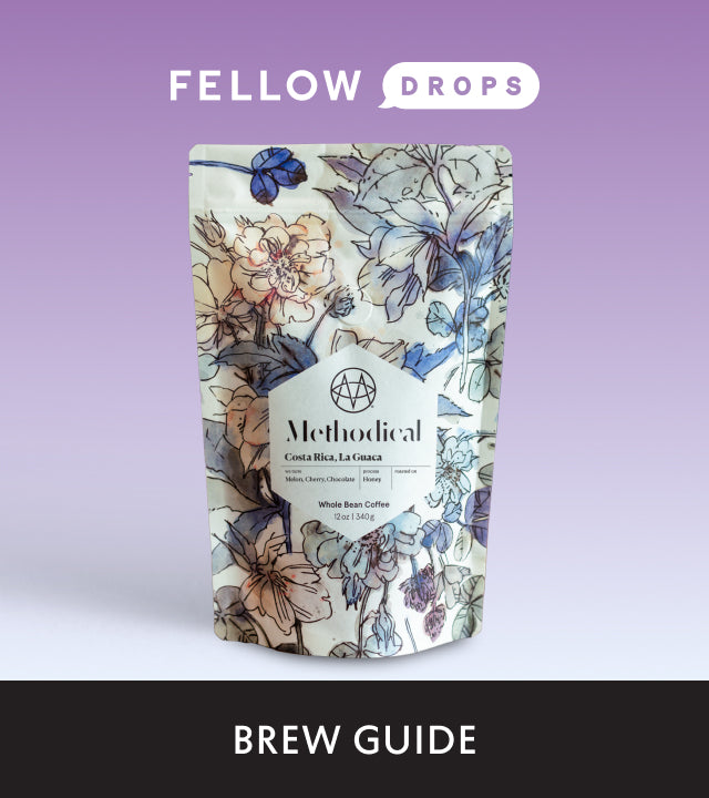 Fellow's Take on La Guaca by Methodical Coffee | Brew Recipe