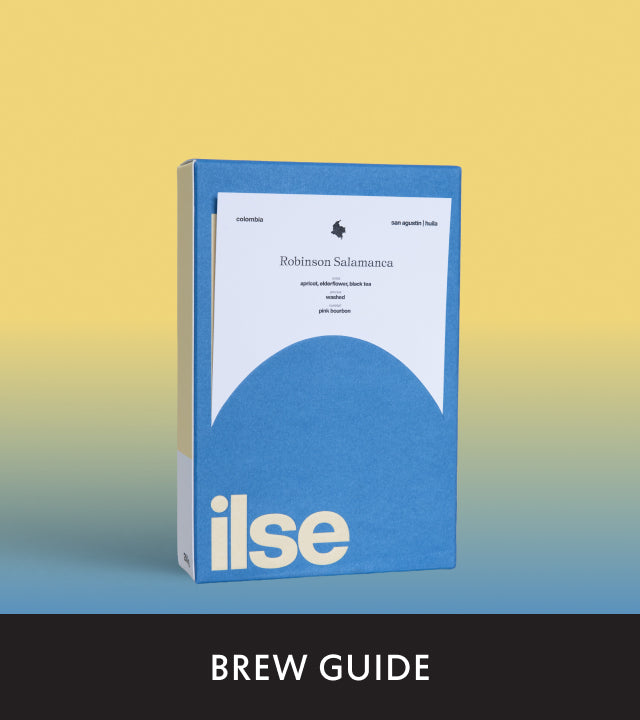 Fellow's Take on Robinson Salamanca by ilse coffee | Brew Recipe