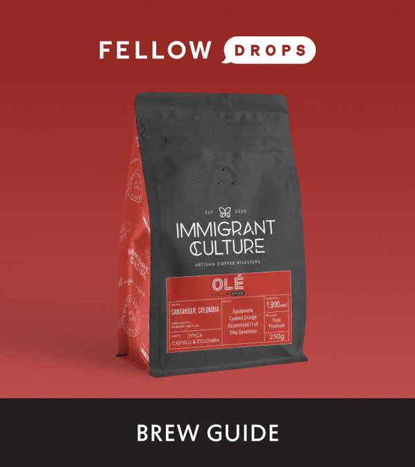 Fellow's Take on Olé by Immigrant Culture | Brew Recipe