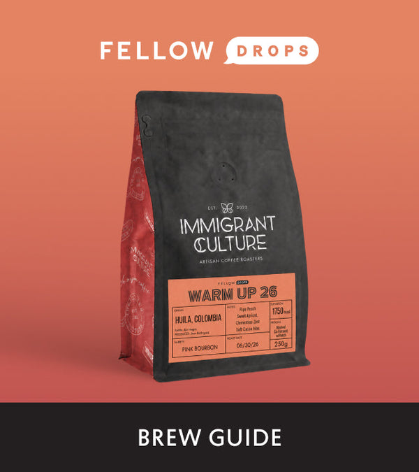 Fellow's Take on Warm Up 26 by Immigrant Culture | Brew Recipe