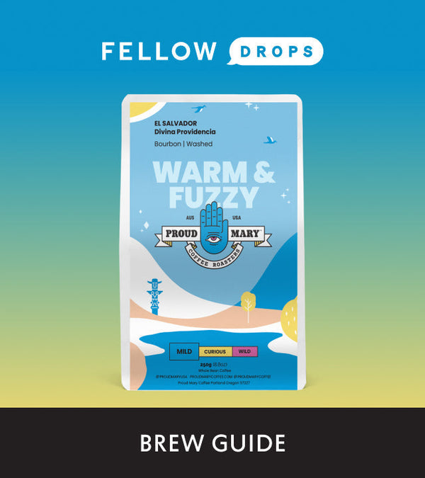 Fellow's Take on Warm & Fuzzy by Proud Mary Coffee | Brew Recipe