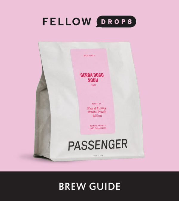 Fellow's Take on Gerba Dogo Sodu by Passenger | Brew Recipe